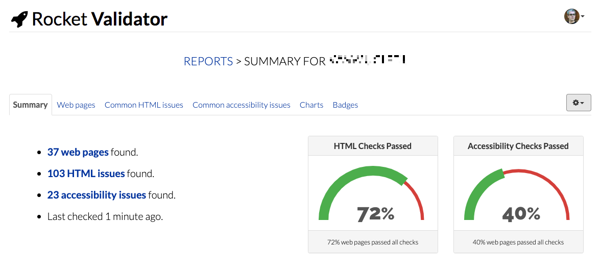 Report Summary screenshot